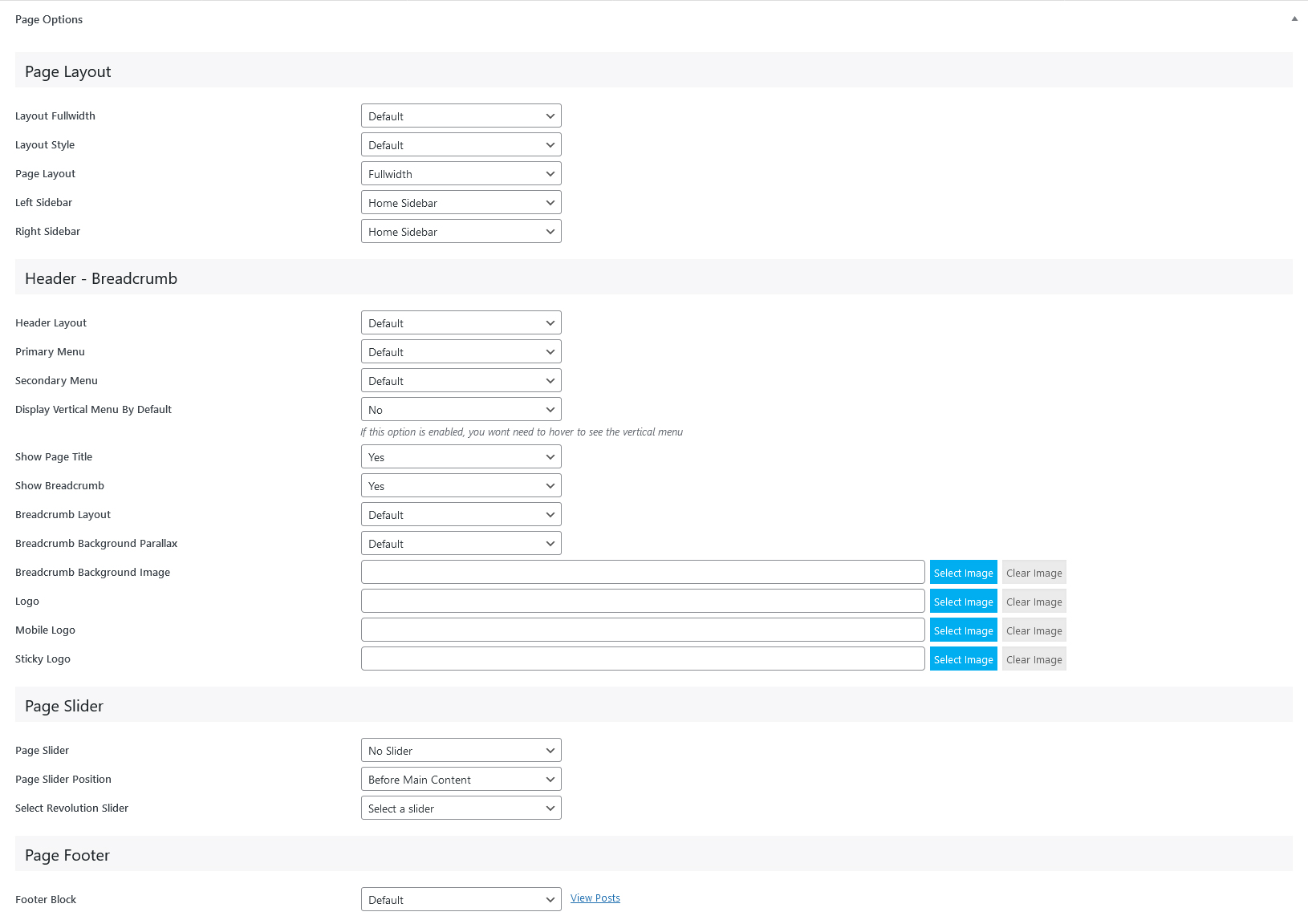Page Options